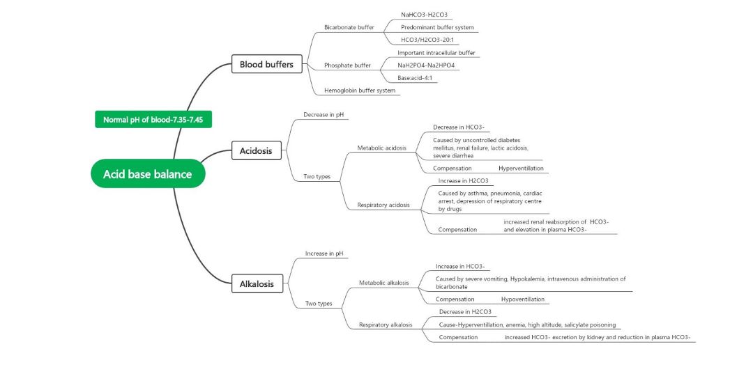 acid base mind map template