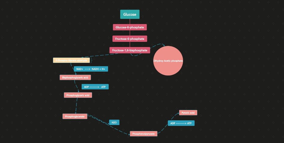 chemistry mind mapping about glycolysis