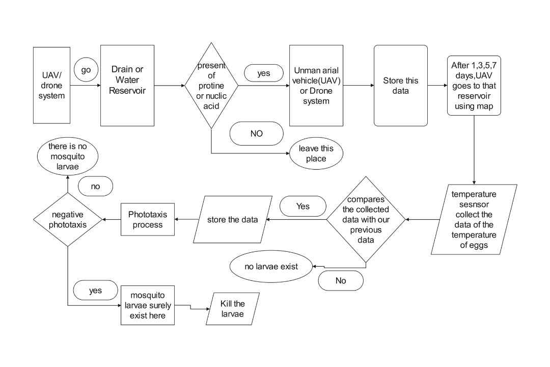 conditional flowchart example