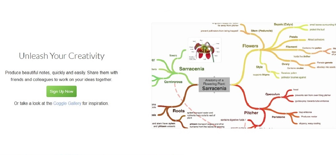 coggle logic tree maker website interface