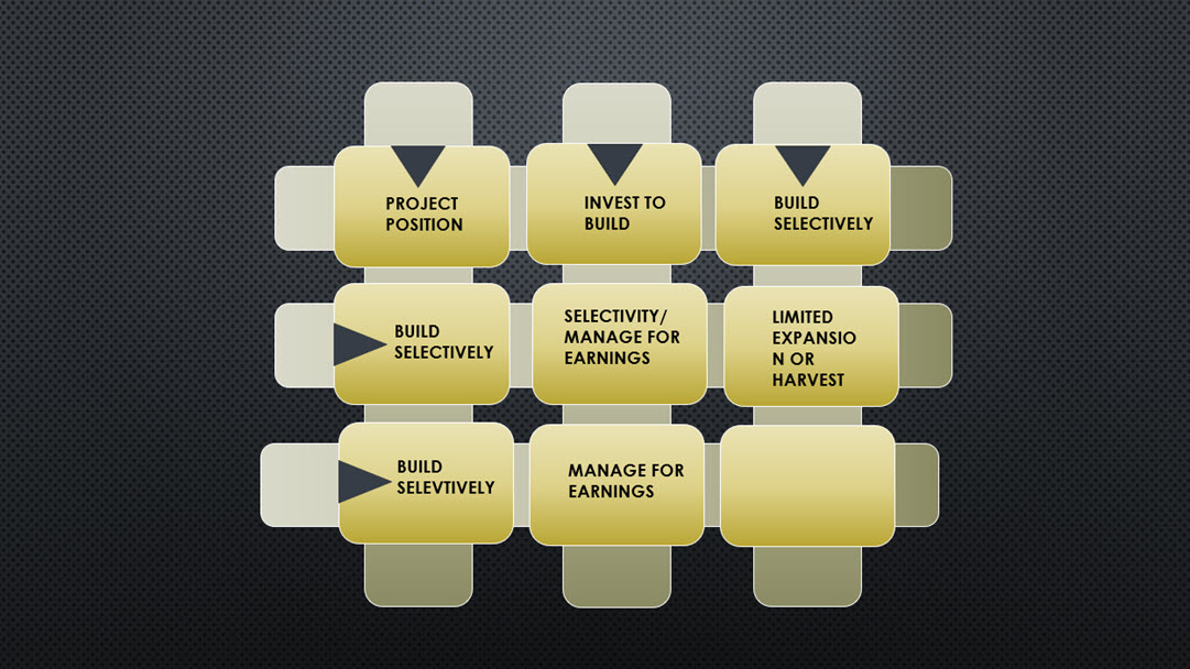 professional matrix diagram