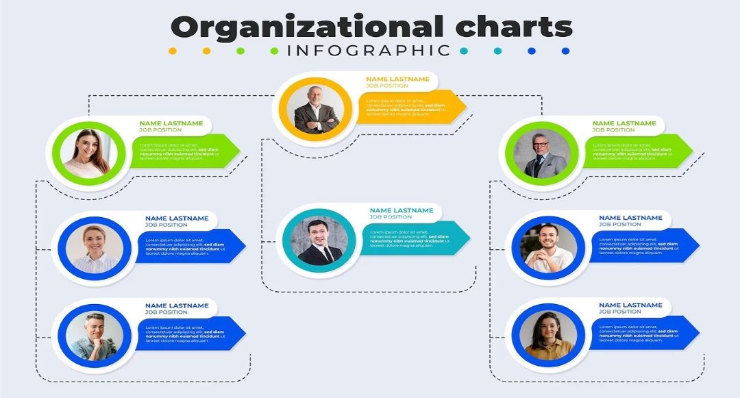 sample org chart infographic