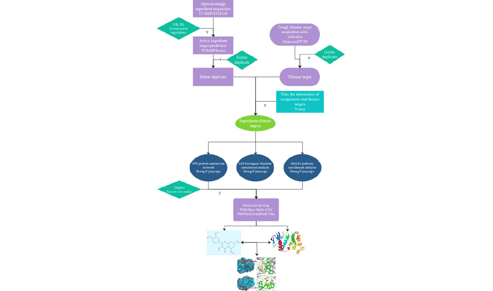 biology flowchart