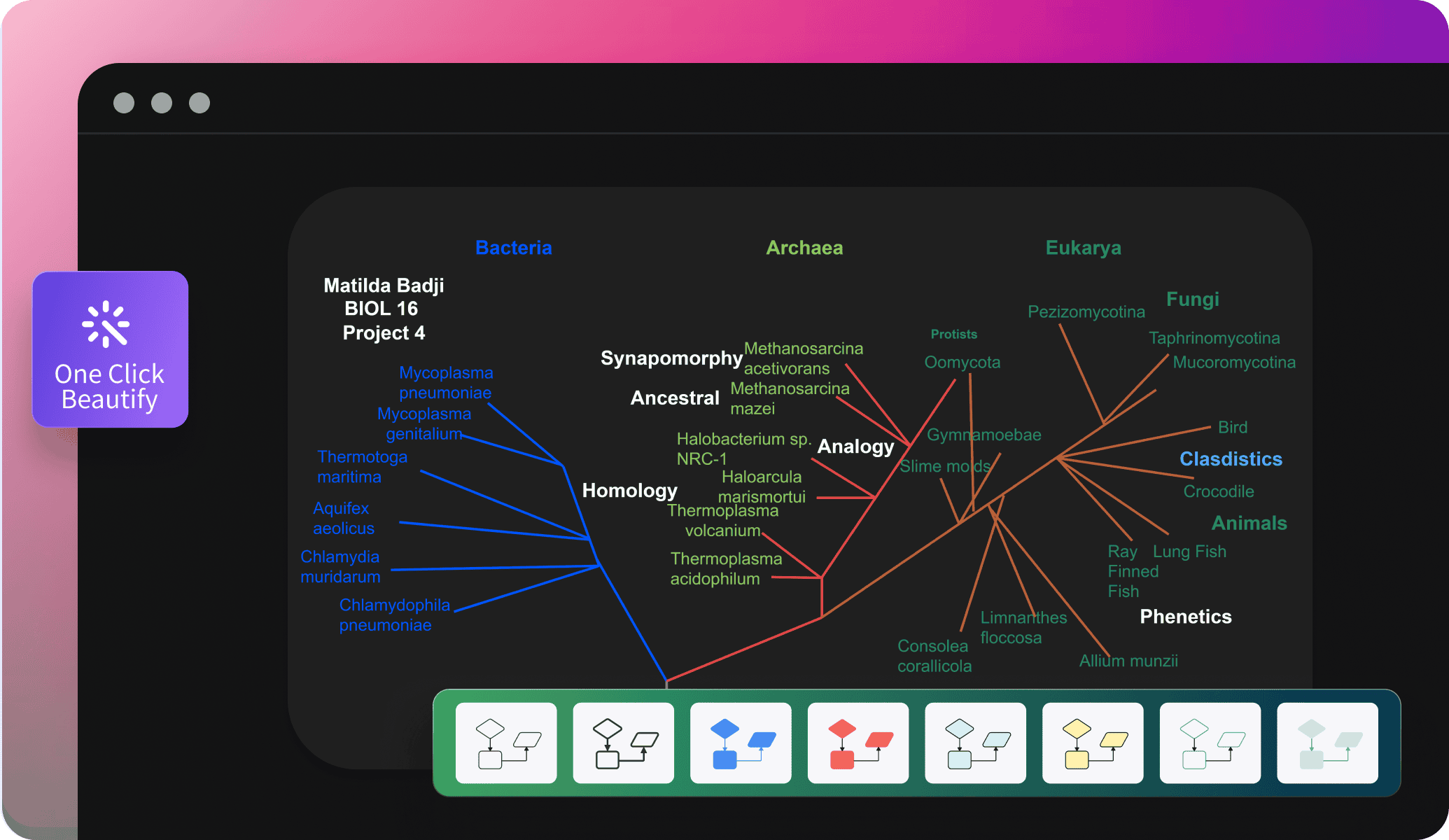 edrawai customization options