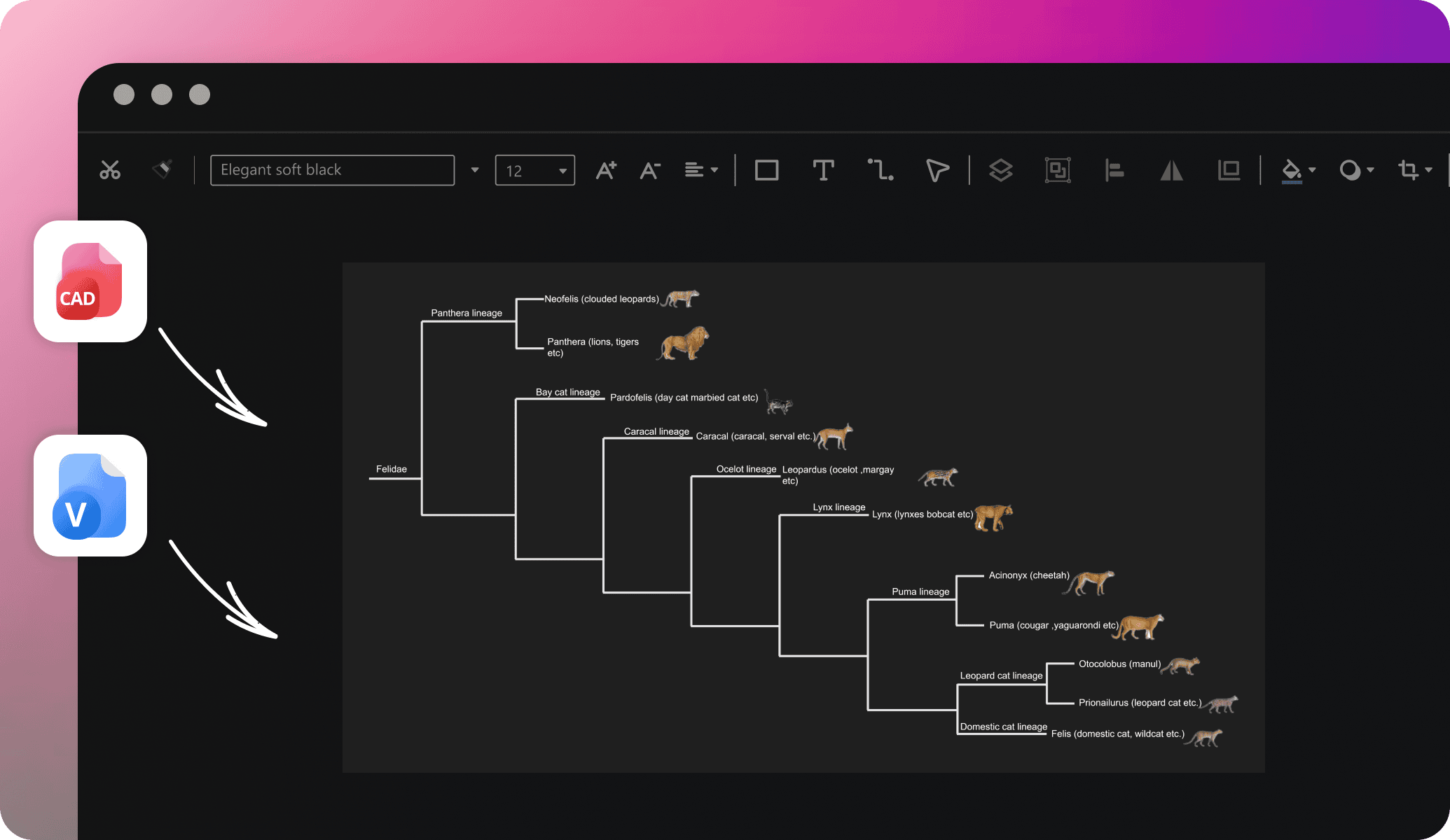 edrawai import options